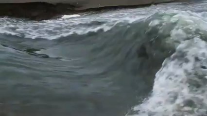 Nate Tyler In Let's Surf Seriously