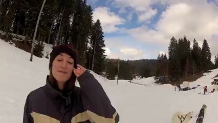 Traîneau 3 chiens avec Amandine ^^ 10 mars 2013