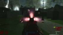 Call of Duty Custom Zombies - Camping w/Eirebornfenix & SynysterHaych