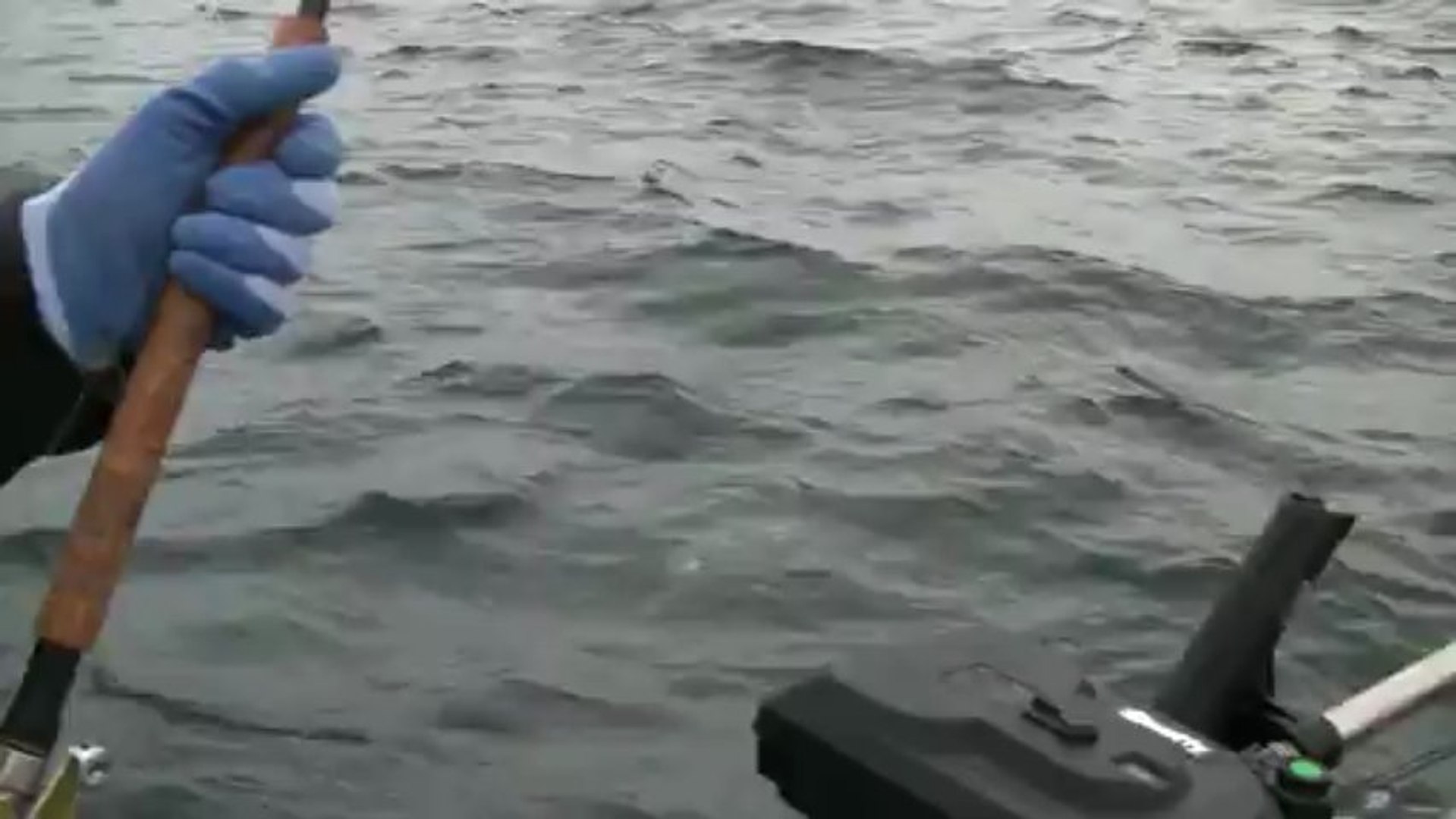 Fishing BC for action packed fishing