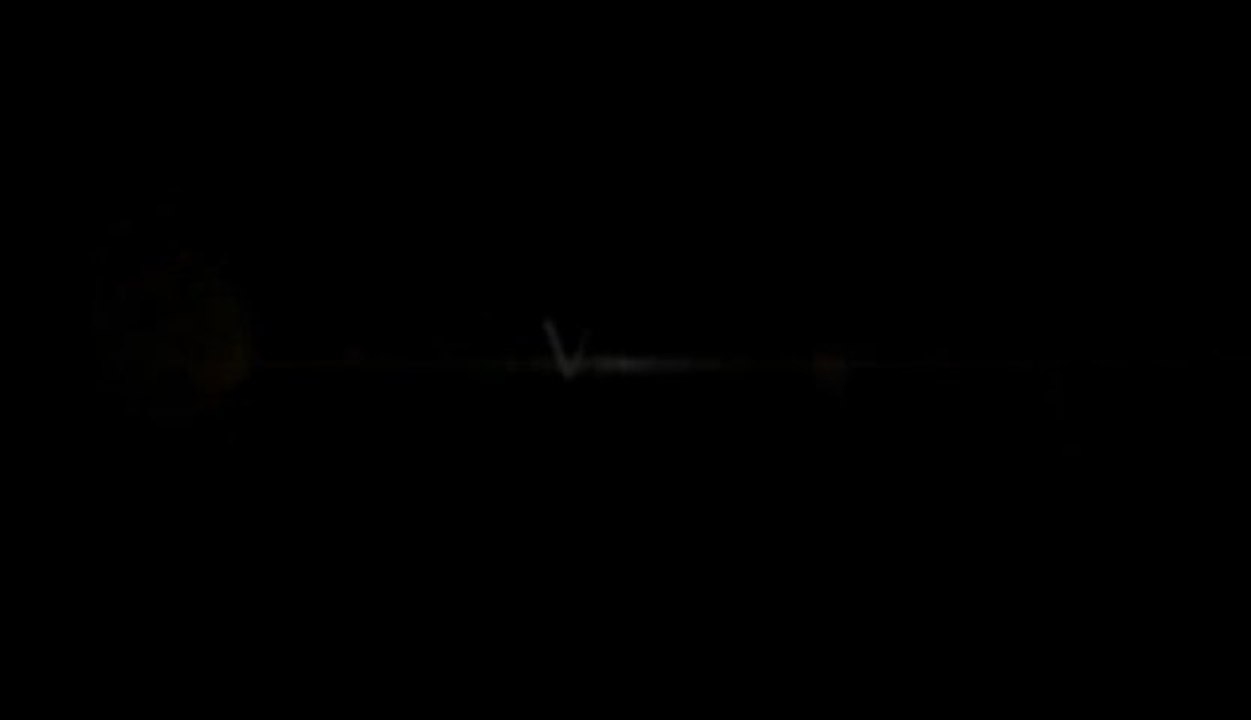 pres_2013