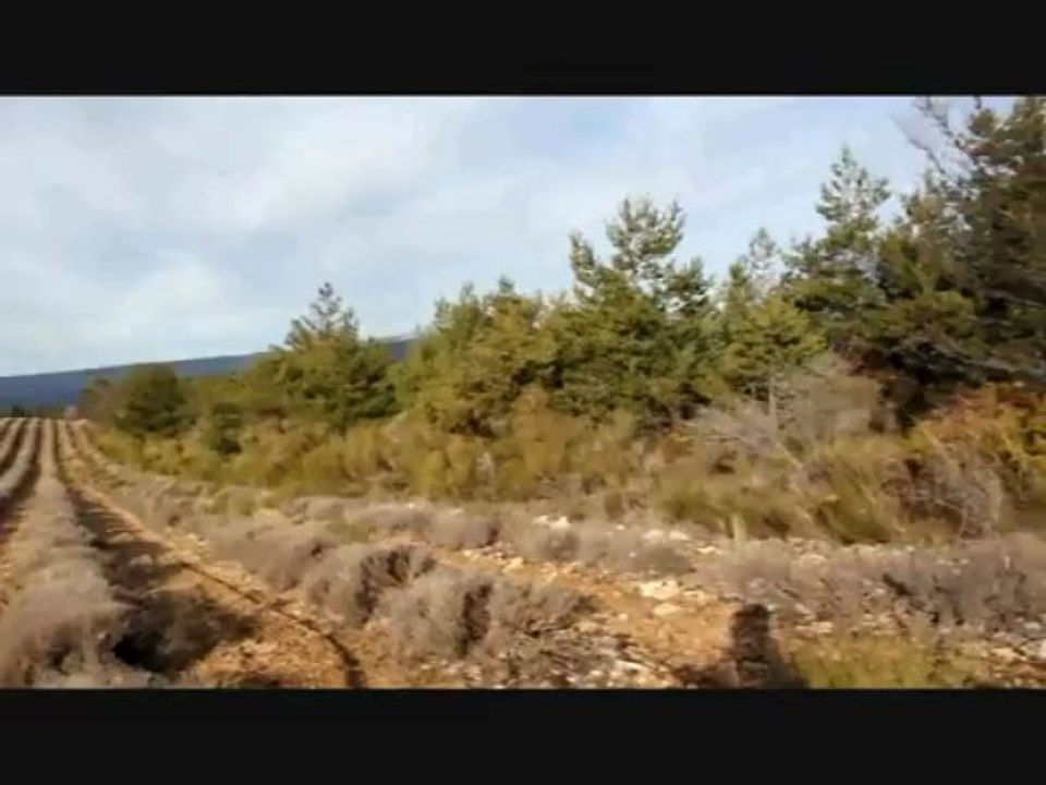 Des ariégeois derrière un lièvre de Ferrassières