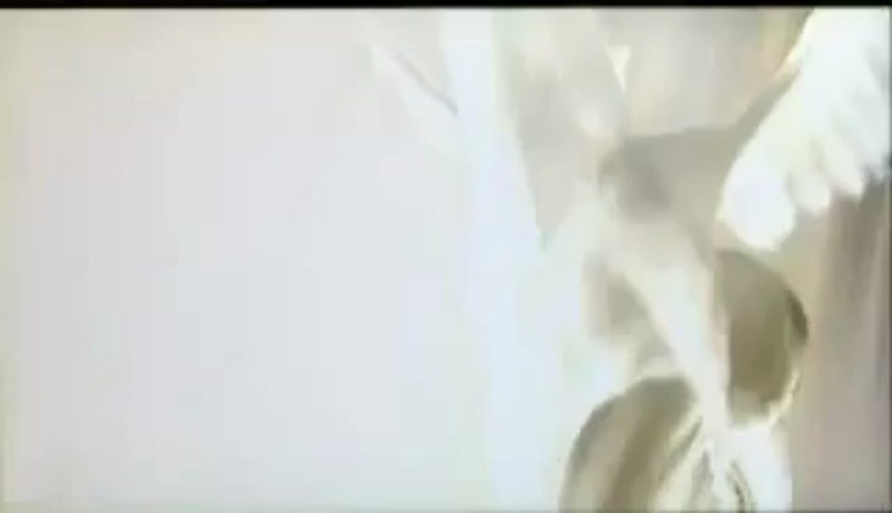 film Meurtres à la St Valentin bande annonce VF