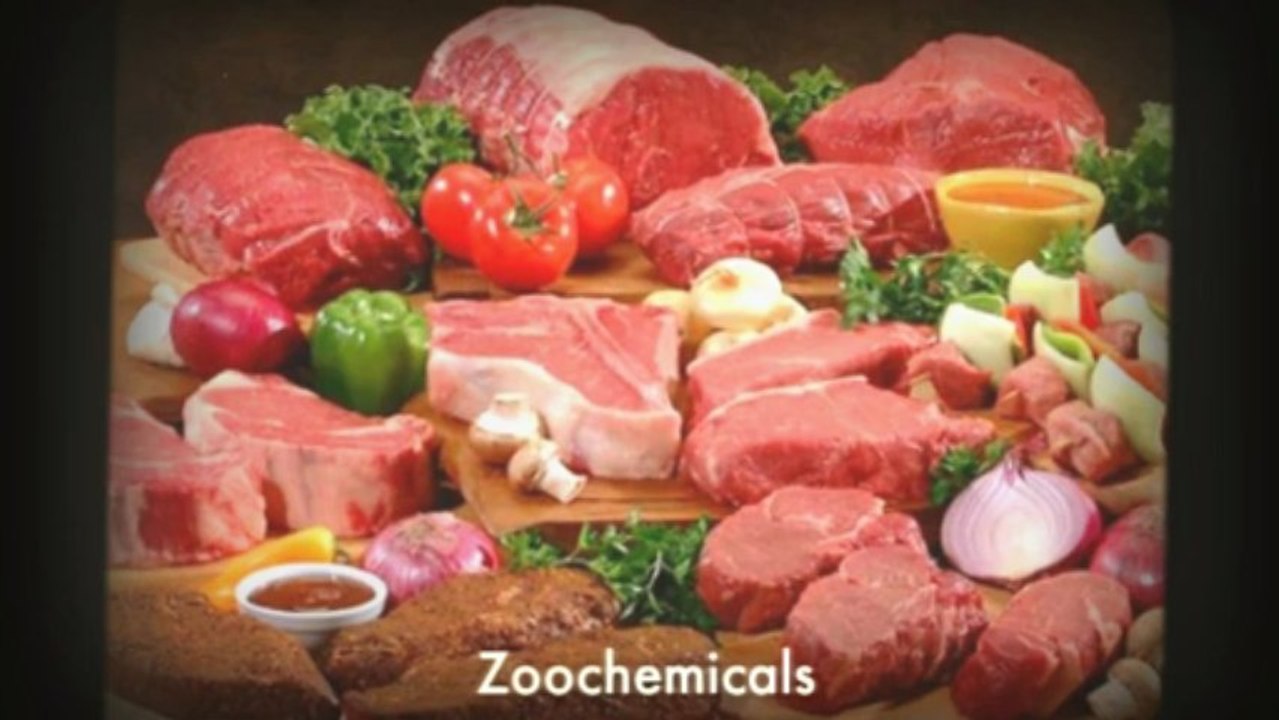 Foods High in Antioxidants