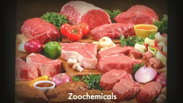 Foods High in Antioxidants