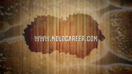 Mold Certification Training, Mold Inspection