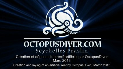 "OctopusDiver" Club Ambassadeur "Longitude 181 Nature" Court Extrait du Film. Sortie prévue fin 2013.