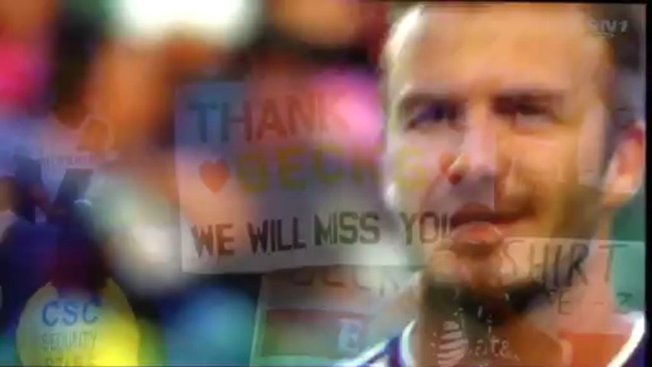 David Beckham Spotlight
