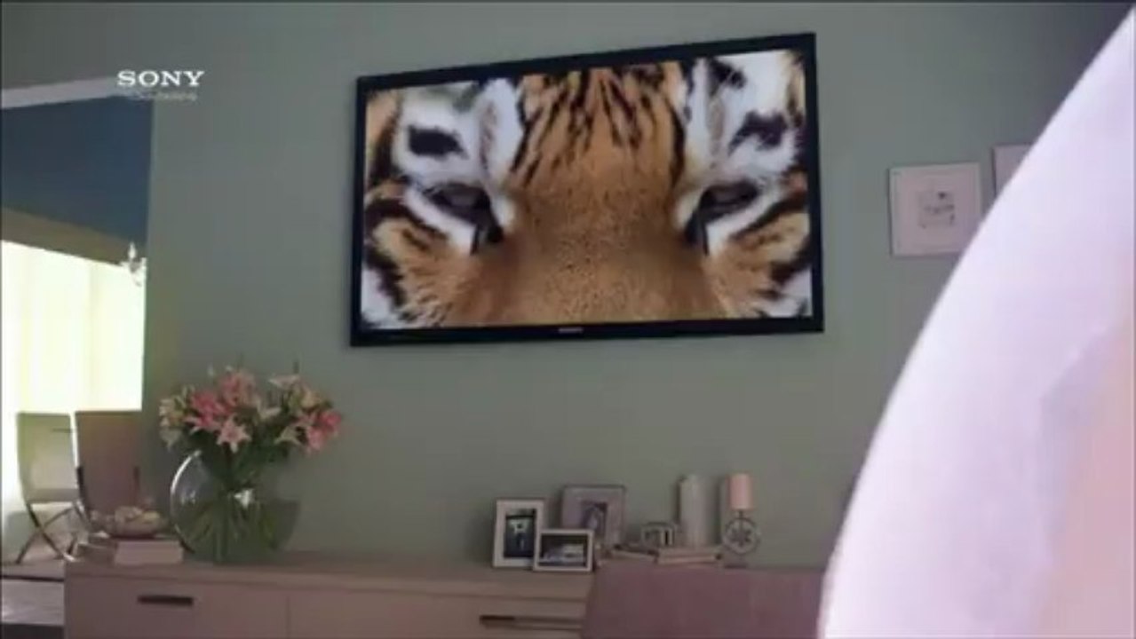 all vashikaran problems solution babaji +91-9915243009