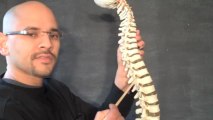 Quiropractico Atlanta / Gainesville GA - Sindrome Facetario Lumbar - Quiropractico Gainesville GA