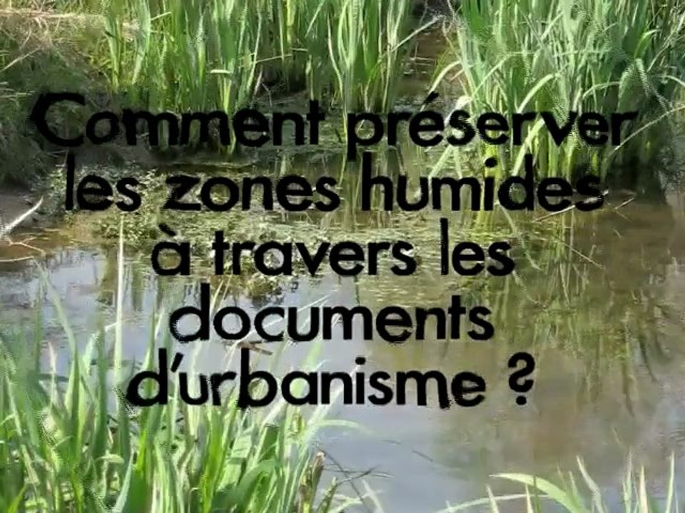 Comment préserver les zones humides à travers les documents d'urbanisme ?