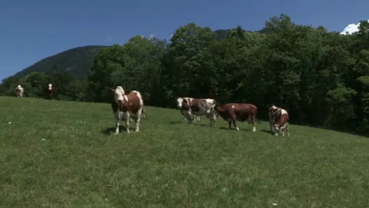 Le terroir du Geopark des Bauges