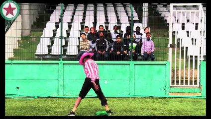 Harlem Shake - Red Star Lab