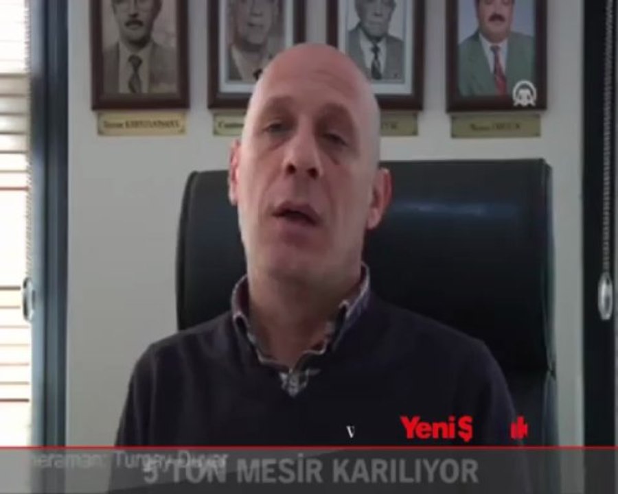 5 ton mesir karılıyor