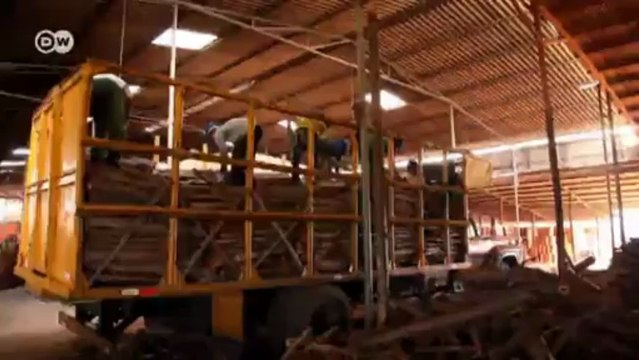 Brazil and the Environment - Biomass in Capela | Global 3000