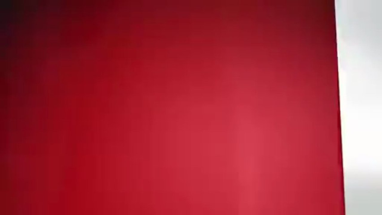 Une fouine interrompt à plusieurs reprises un match de football