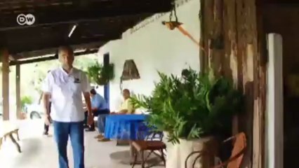 Brasilien: Biomasse in Capela | Global 3000