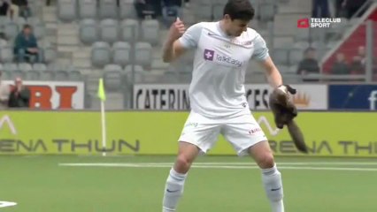 Une fouine interrompt un match de foot