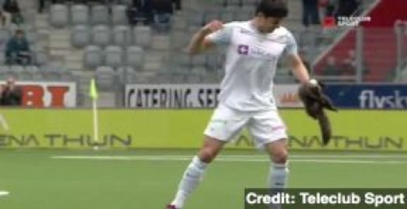 Pine Marten Causes Chaos at Swiss Soccer Match