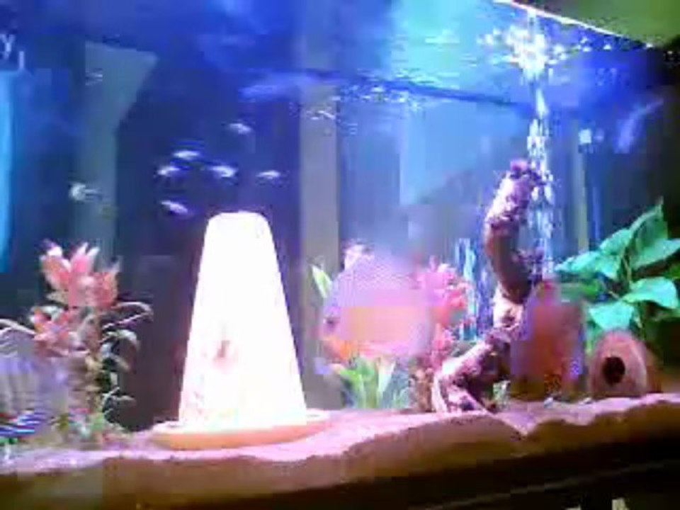 couple de discus