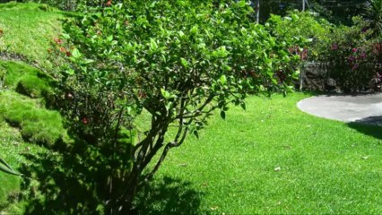 Casa en venta en Colonia Maquilishuat, San Salvador :: Arriaza Vega