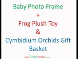 Buy Baby Gifts Online | Florist Online - Baby Beds , New Born Gifts
