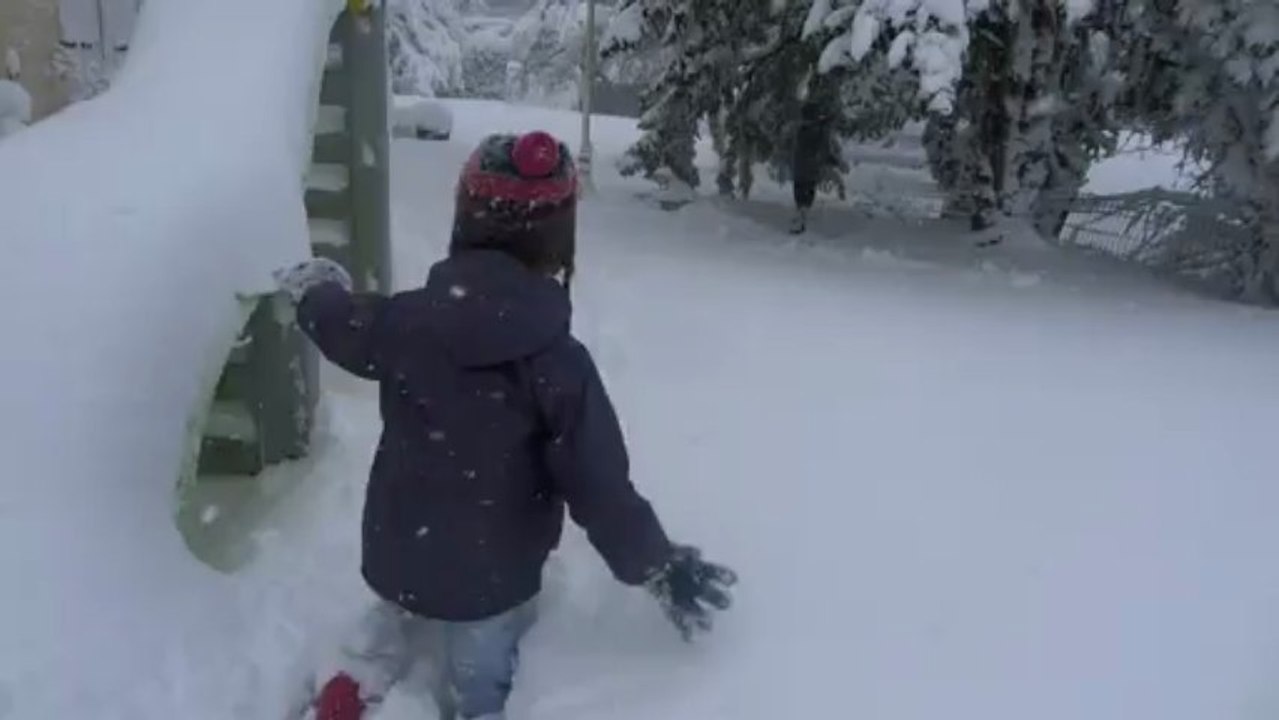snow(1)