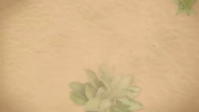 Future Ford of Sacramento - 2013 Ford Focus near Citrus Heights