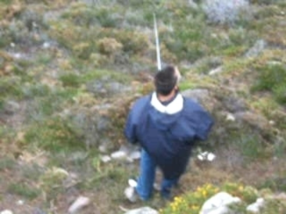 Le Piwee en combat