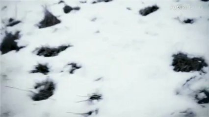 Loro uccidono - Dal 7 ottobre su FoxCrime