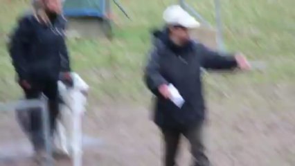 Concours Oeting 10/03/13: marche au pied