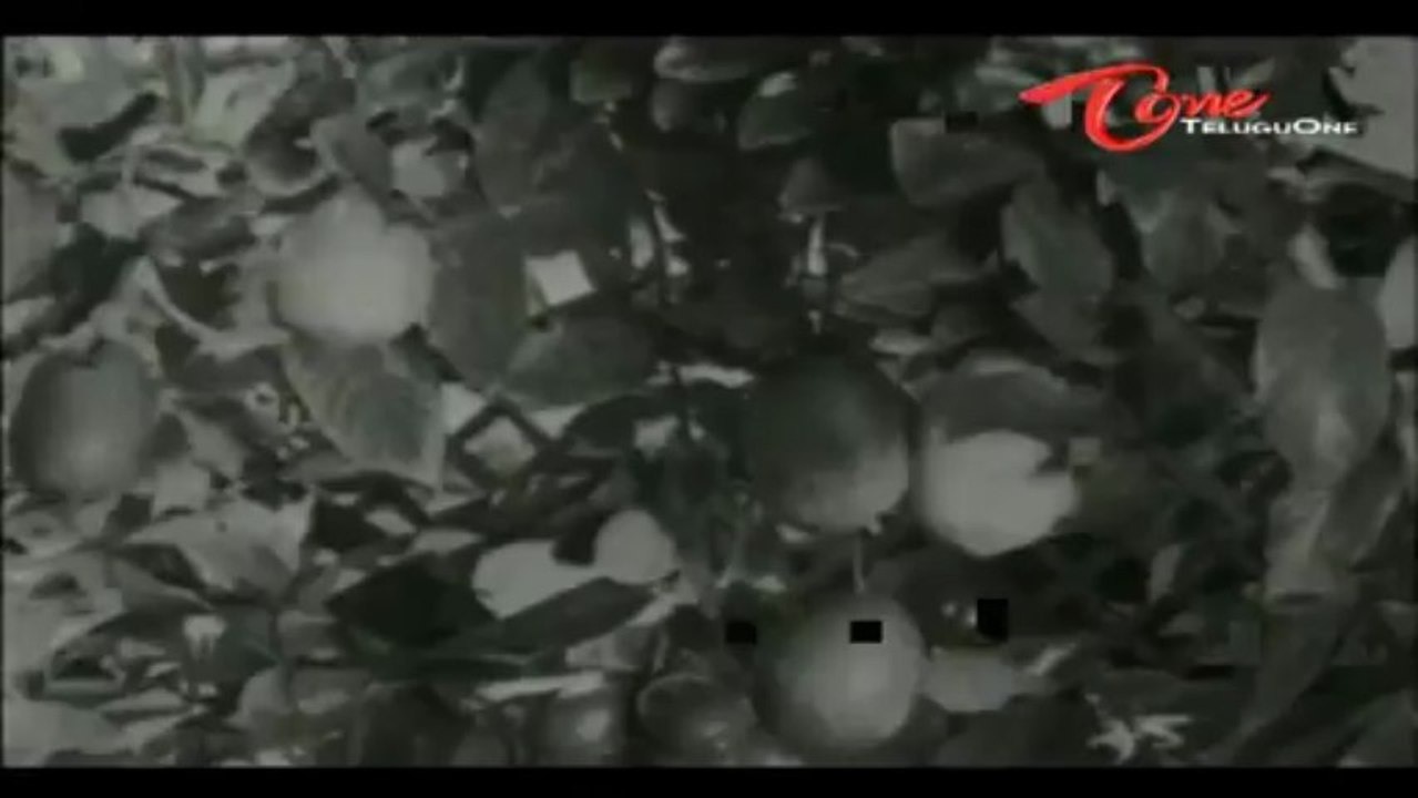 Gaali Medalu Songs - Navaragalu - NTR - Devika