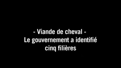 Viande de cheval: le gouvernement a identifié cinq filières