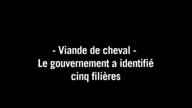 Viande de cheval: le gouvernement a identifié cinq filières