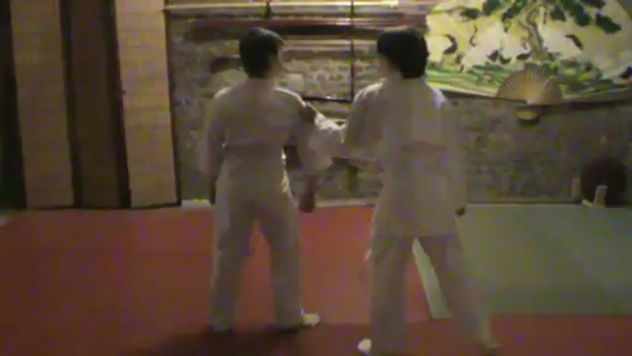 Gyaku hanmi kata dori kihon