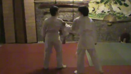 Gyaku hanmi kata dori kihon