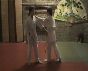 Ai hanmi kata dori