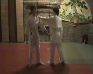 Ai hanmi kata dori henka utsu