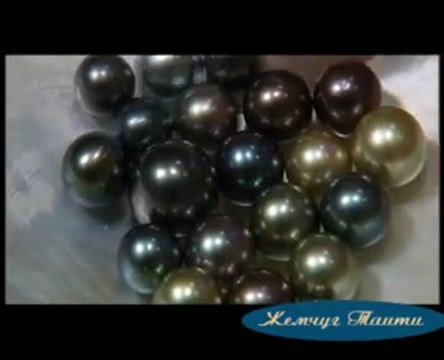 черного жемчуга в Таити - Black pearls of Tahiti - Perles Noires de Tahiti