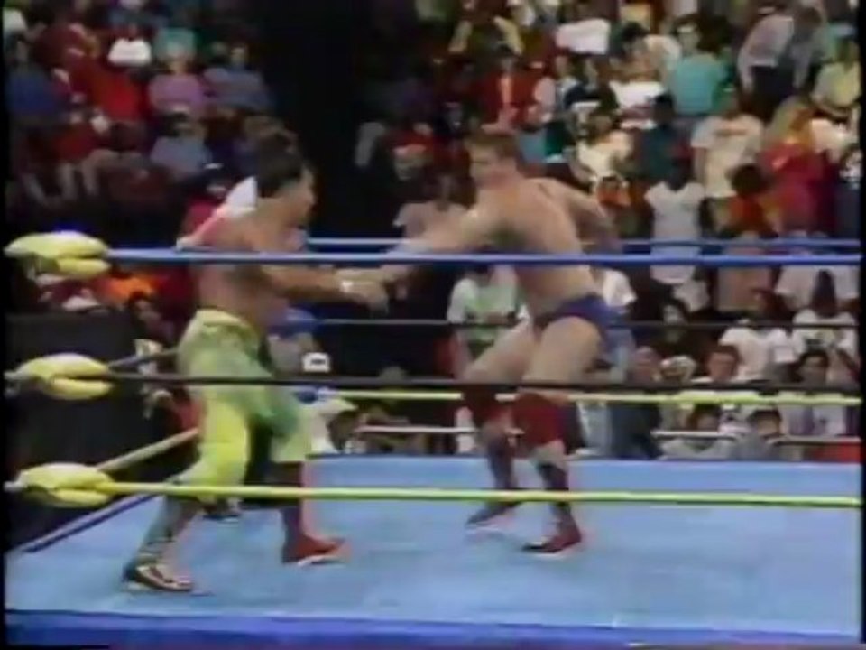 Top 100 WCW #14