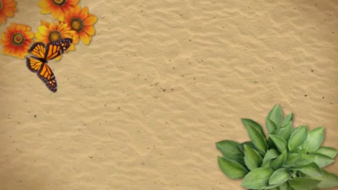 Wedding Limo Hire Surrey