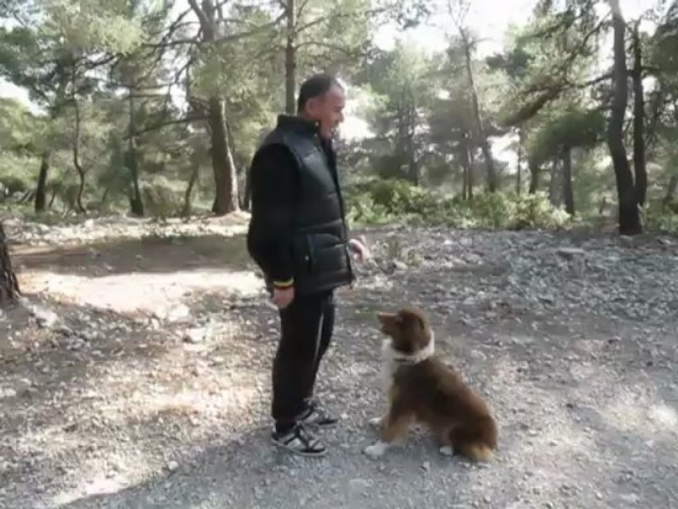 Dressage,éducation canine la ciotat Aboiement sur ordre