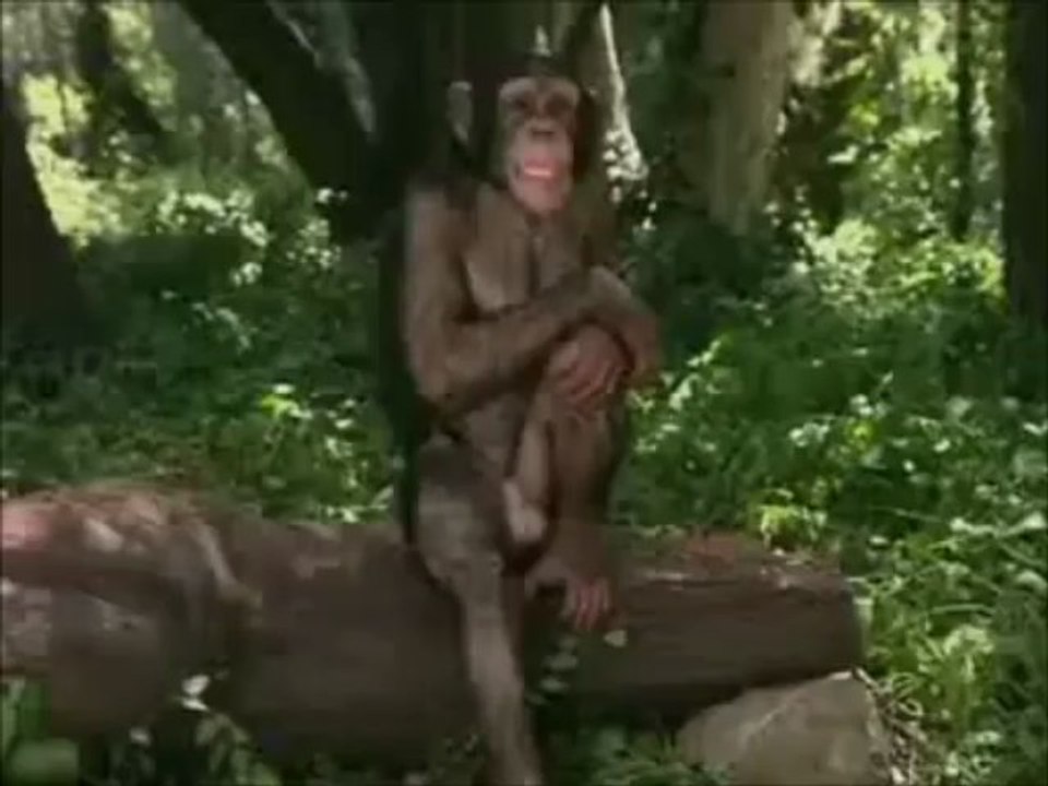 Pourquoi tu te la pètes
