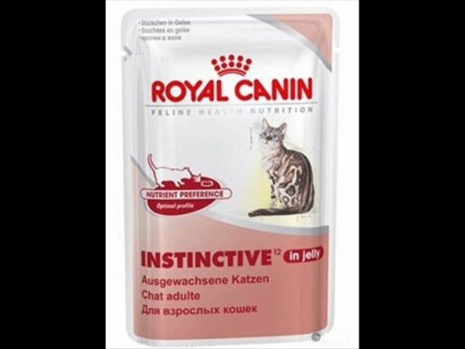 ilgazpet kedi köpek kuş balıkl yemi ürün fotografları