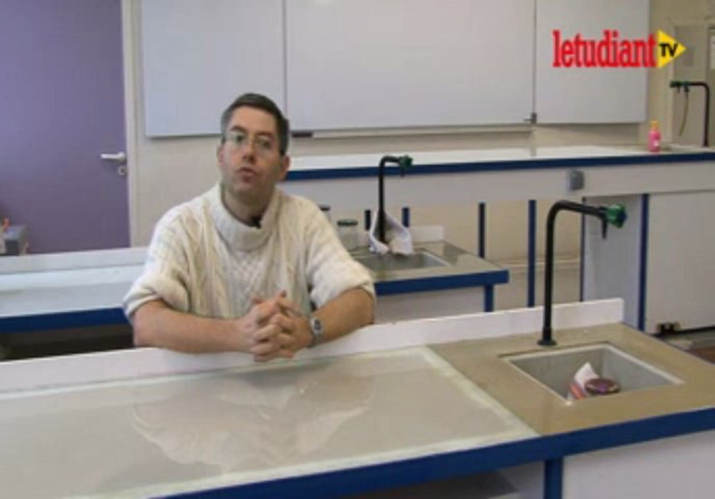 Bac : comment bien réviser la physique-chimie