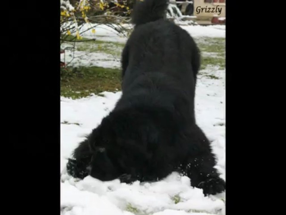 Les Nours et la neige