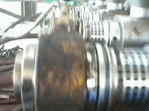 5 head Cold Press crushing grape seed oil