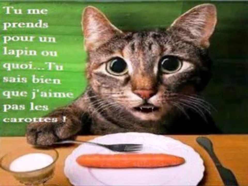Tu me prends pour un lapin ou quoi?