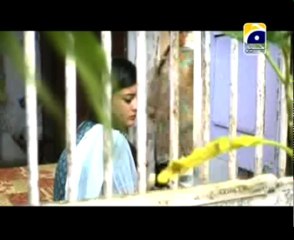 Kaash Main Teri Beti Na Hoti Episode 195-27 Nov 2012