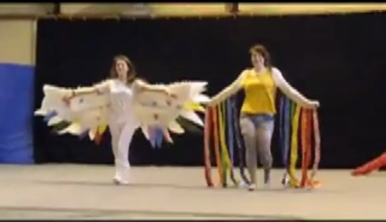 Défilé portes ouvertes Lycée Charles de Gaulle Chaumont